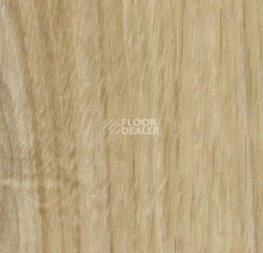 Кварцвиниловые полы Forbo Effekta Intense 41135 P Honey Authentic Oak INT фото 1 | FLOORDEALER